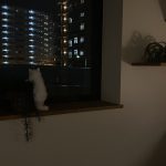 リフォーム 施工事例 | にゃん🐾と叶えた、家族のちょうどいい距離感が整ったおうち