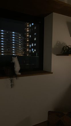 沖縄 リフォーム リノベーション 二世帯住宅